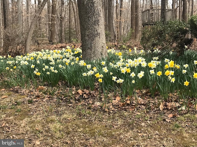 1326 Jones Station Rd, Arnold, MD 21012 - view of landscape