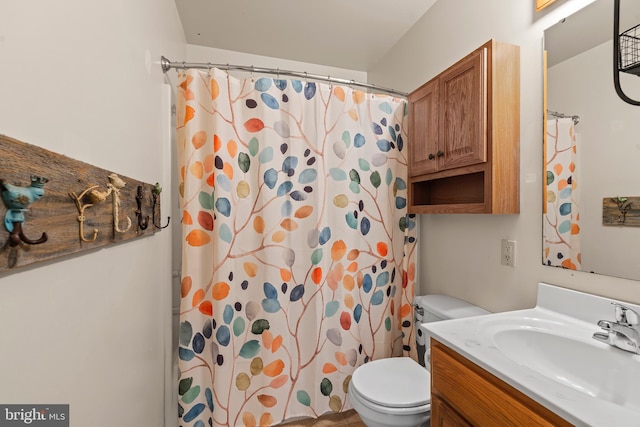 10257 Back Creek Valley Rd, Hedgesville, WV 25427 - full bath with a shower with curtain, vanity, and toilet