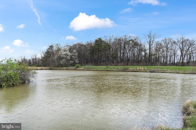 10257 Back Creek Valley Rd, Hedgesville, WV 25427 - view of water feature featuring a forest view