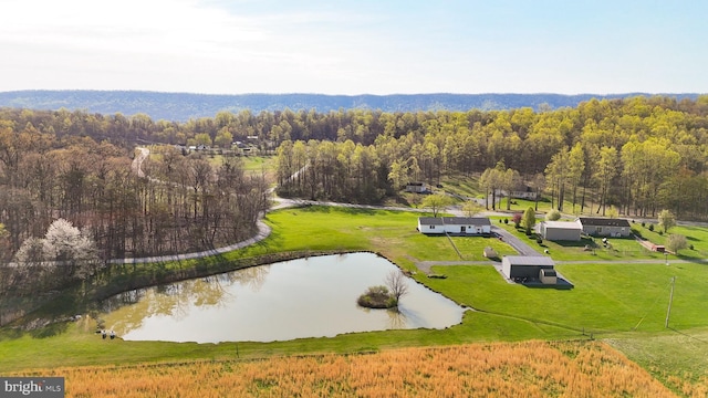 10257 Back Creek Valley Rd, Hedgesville, WV 25427 - drone / aerial view featuring a view of trees and a water view