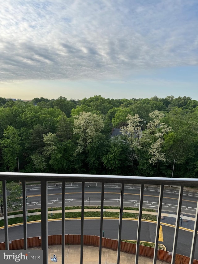 2500 N Van Dorn St Unit 1006, Alexandria, VA 22302 - view of balcony