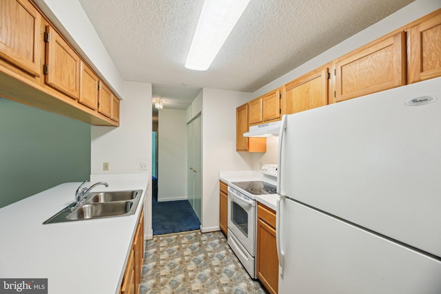 2715 Snowbird Ter Unit 4-28, Silver Spring, MD 20906 - kitchen with white appliances, under cabinet range hood, light countertops, a sink, and a textured ceiling