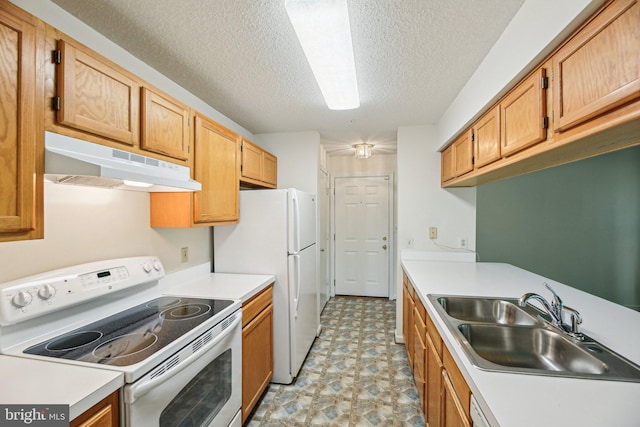 2715 Snowbird Ter Unit 4-28, Silver Spring, MD 20906 - kitchen featuring white appliances, under cabinet range hood, a sink, light floors, and light countertops