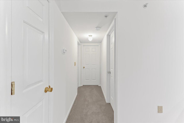 615 Brandon Rd, Norristown, PA 19403 - corridor featuring light carpet and baseboards