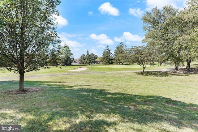 615 Brandon Rd, Norristown, PA 19403 - view of green lawn