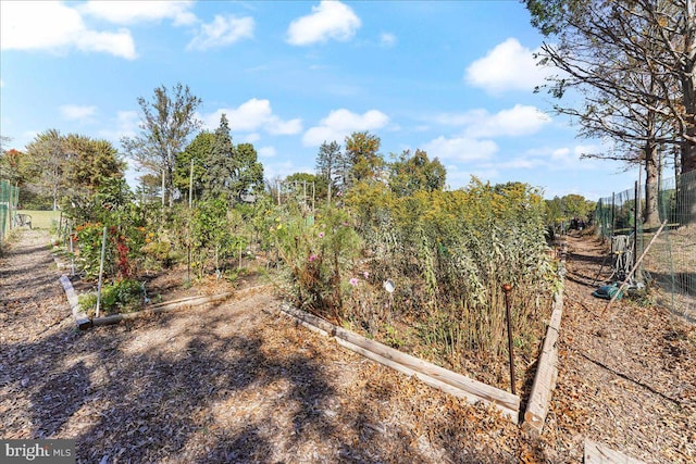 615 Brandon Rd, Norristown, PA 19403 - view of yard