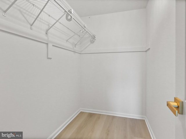 3800 Powell Ln Unit 828, Falls Church, VA 22041 - spacious closet with light wood-style flooring