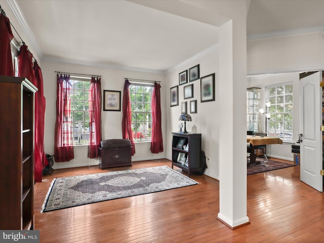foyer featuring baseboards, wood-type flooring, and crown molding