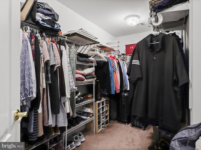 spacious closet featuring carpet flooring