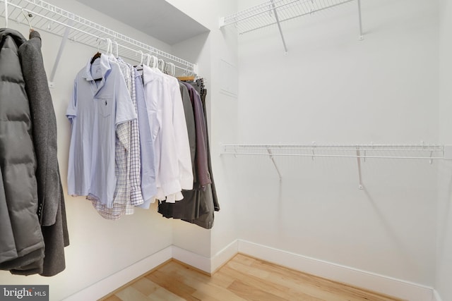 spacious closet featuring wood finished floors