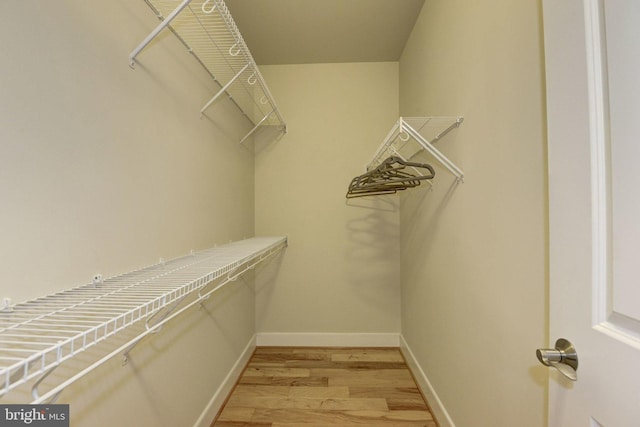 walk in closet featuring light wood-style flooring
