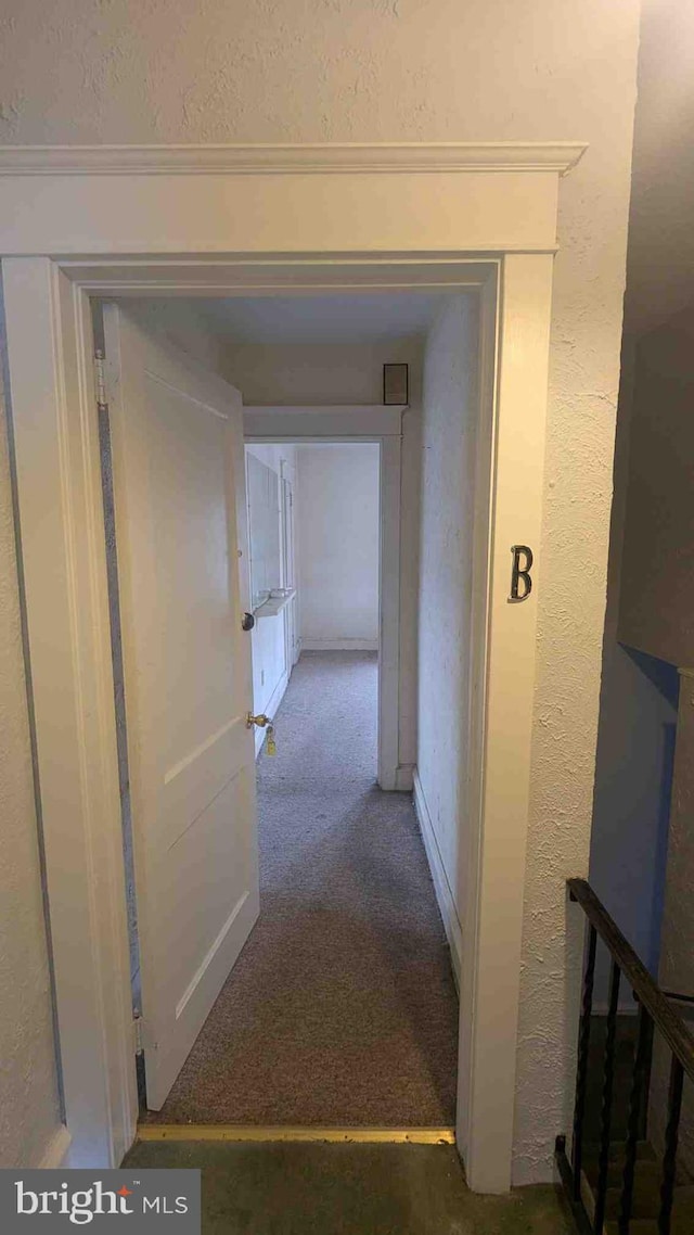 hall with carpet flooring and a textured wall