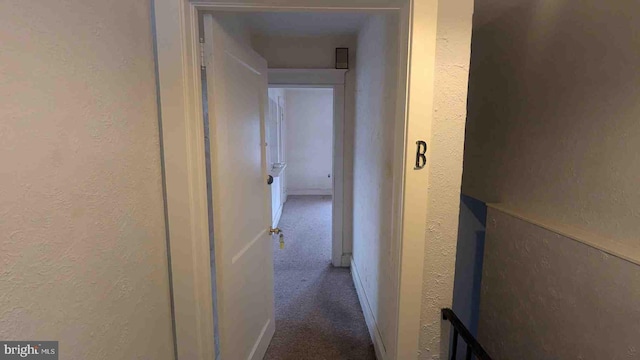 hall with carpet flooring and a textured wall