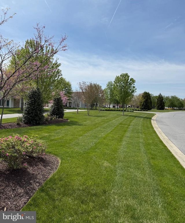view of home's community with a yard