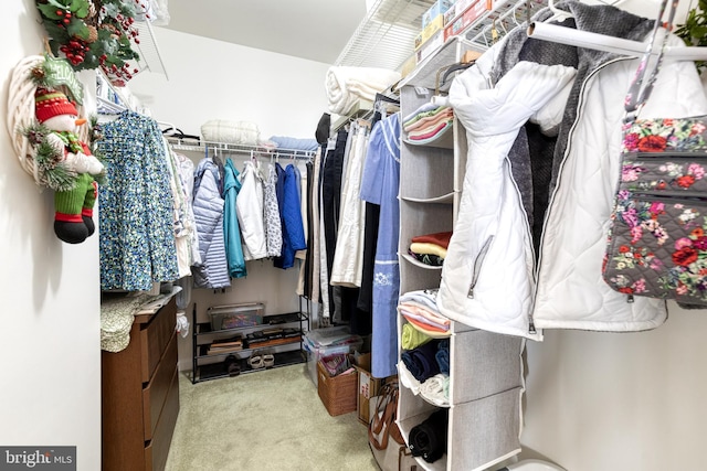 400 Symphony Cir Unit 351, Cockeysville, MD 21030 - walk in closet featuring carpet flooring