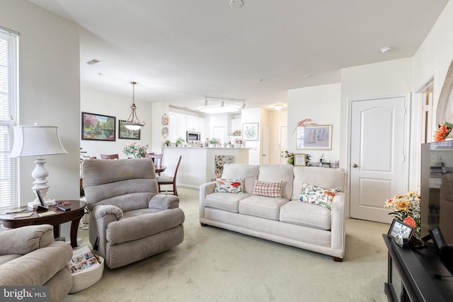 400 Symphony Cir Unit 351, Cockeysville, MD 21030 - living area featuring light colored carpet, a wealth of natural light, and visible vents