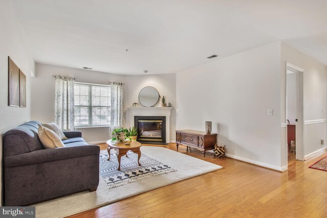 12105 Tullamore Ct Unit 101, Lutherville Timonium, MD 21093 - living area with baseboards, visible vents, a glass covered fireplace, and wood finished floors