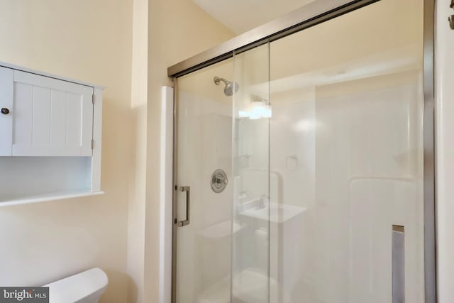 full bathroom featuring a shower stall and toilet