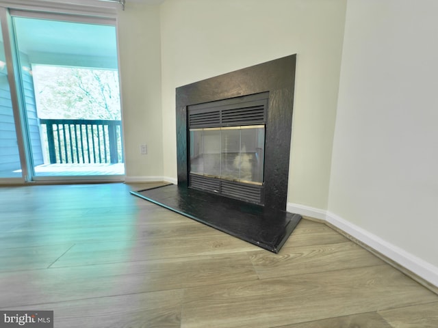 details featuring baseboards, wood finished floors, and a fireplace