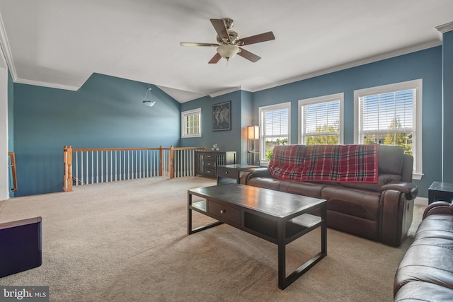 living room featuring a ceiling fan, ornamental molding, and carpet