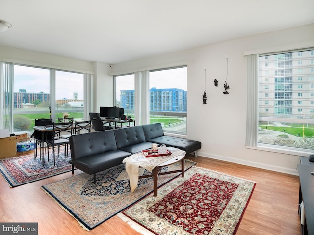 901 N Penn St Unit P506, Philadelphia, PA 19123 - living room with baseboards and wood finished floors