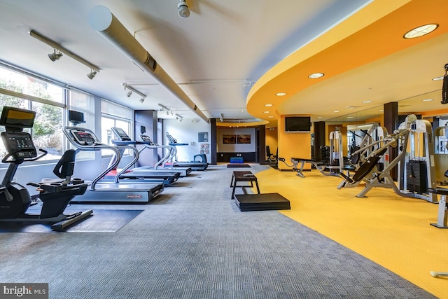 workout area featuring track lighting and carpet floors