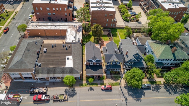 bird's eye view