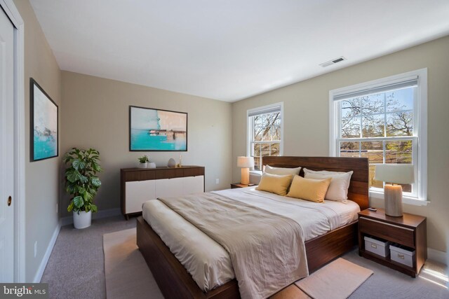 16 S Union St, Lambertville, NJ 08530 - bedroom with visible vents, baseboards, and carpet