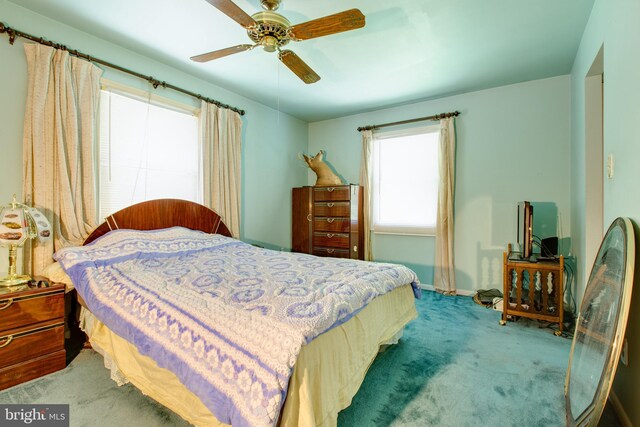 500 Kegworth Ct, Severna Park, MD 21146 - bedroom with carpet, baseboards, and a ceiling fan