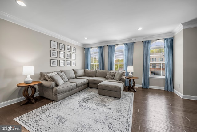 living room with crown molding, baseboards, and plenty of natural light