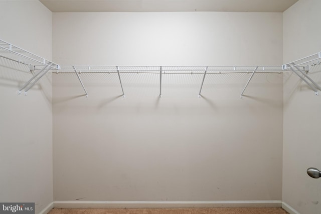 walk in closet featuring light colored carpet