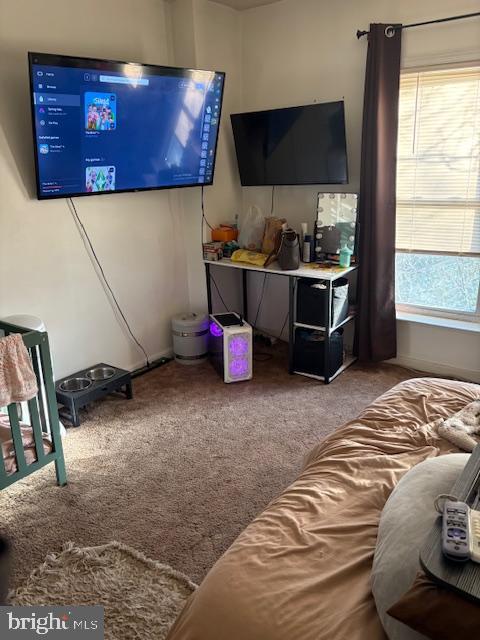 living area featuring carpet