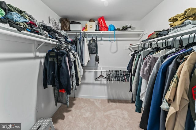 2320 Harpoon Dr, Stafford, VA 22554 - spacious closet with carpet flooring