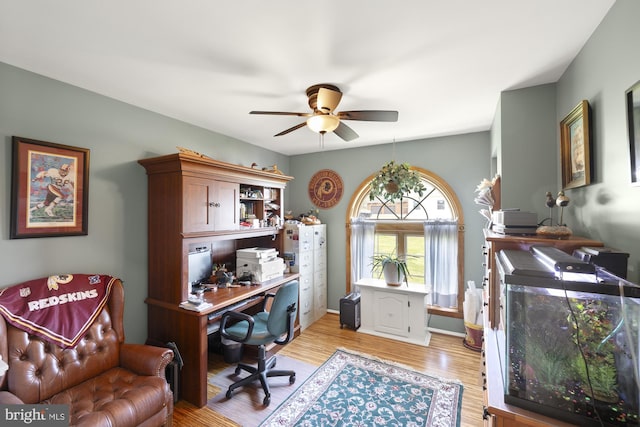 office with light wood-style flooring and ceiling fan