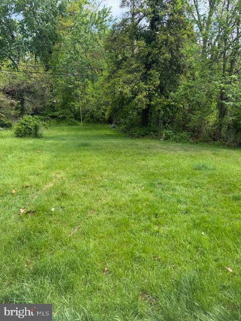 view of yard featuring a forest view