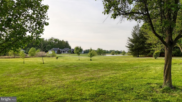 1081 Caldwell Corner Rd, Townsend, DE 19734 - surrounding community featuring a yard