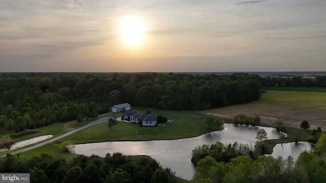1081 Caldwell Corner Rd, Townsend, DE 19734 - aerial view with a water view and a forest view