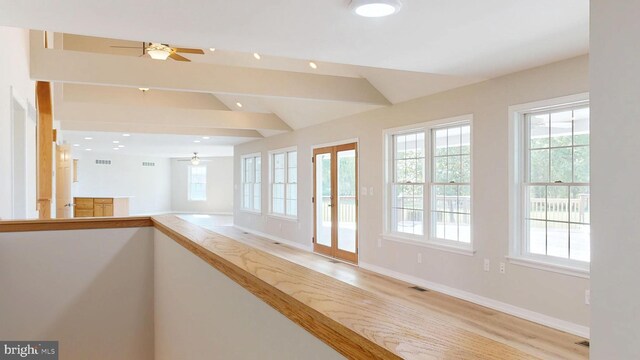 1081 Caldwell Corner Rd, Townsend, DE 19734 - interior space featuring a ceiling fan, a wealth of natural light, and vaulted ceiling