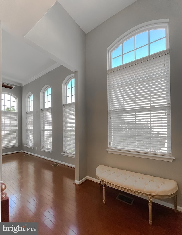 920 Pine Forest Ln Unit 1812, Upper Marlboro, MD 20774 - interior space with baseboards, visible vents, plenty of natural light, and hardwood / wood-style floors