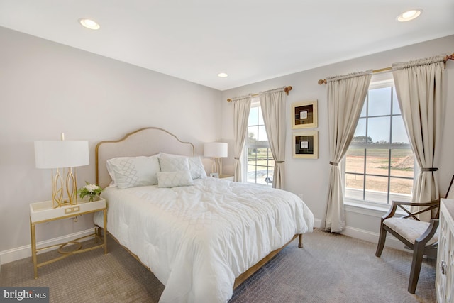 126 Green Forest Dr Unit 5Houston, Middletown, DE 19709 - bedroom featuring baseboards, recessed lighting, and carpet floors