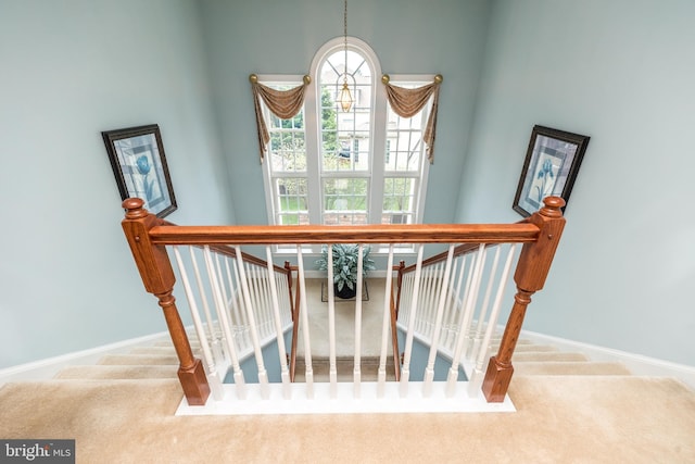 106 Mahogany Way, Upper Gwynedd, PA 19446 - stairs featuring carpet flooring and baseboards