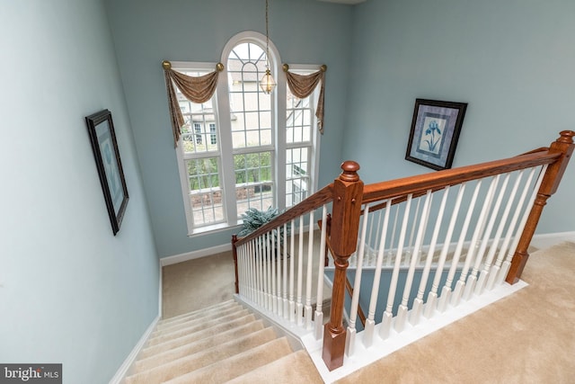 106 Mahogany Way, Upper Gwynedd, PA 19446 - staircase with carpet, baseboards, and plenty of natural light