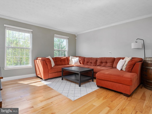 2311 Crosslanes Way, Odenton, MD 21113 - living room featuring light wood-type flooring, a textured ceiling, baseboards, and ornamental molding