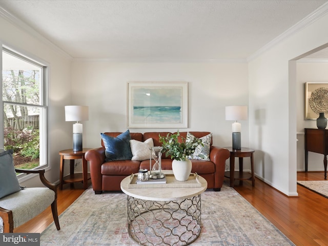 living room featuring crown molding, wood finished floors, and baseboards