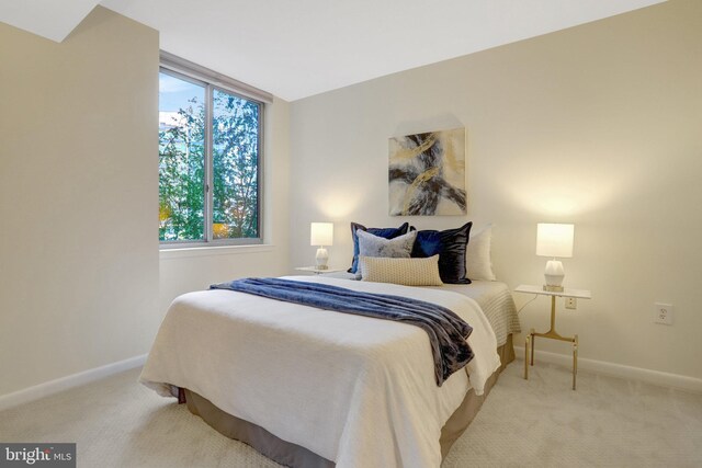 851 N Glebe Rd Unit 321, Arlington, VA 22203 - bedroom featuring baseboards, carpet flooring, and multiple windows