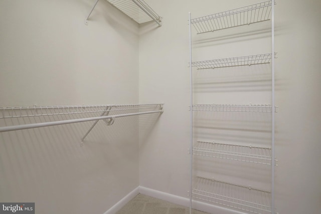 851 N Glebe Rd Unit 321, Arlington, VA 22203 - spacious closet with carpet floors