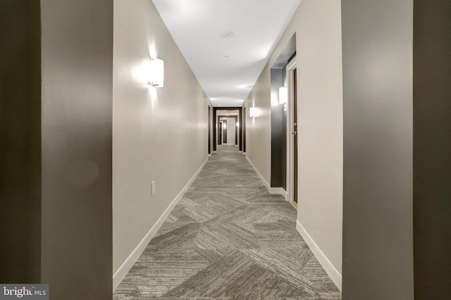 851 N Glebe Rd Unit 321, Arlington, VA 22203 - hall featuring baseboards and carpet flooring