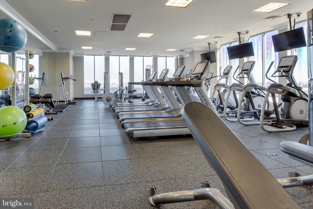 851 N Glebe Rd Unit 321, Arlington, VA 22203 - gym featuring expansive windows, crown molding, and visible vents
