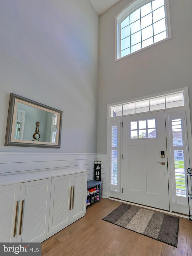 22144 Welches Way, Lewes, DE 19958 - entrance foyer featuring light wood finished floors, healthy amount of natural light, a wainscoted wall, and a towering ceiling
