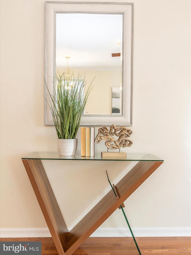 interior details with baseboards and wood finished floors
